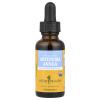 Herb Pharm Certified Organic Artemisia Annua (Sweet Annie) Liquid Extract, 1 Fl Oz view 1