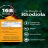 Herb Pharm Rhodiola Liquid Extract: USDA Organic Adaptogen Supplement, Energy & Stamina Support, Arctic Root Tincture Fast-Absorbing & Sugar-Free Rhodiola Herbal Tincture, Up to ~8 Week Supply, 4 oz * view 3