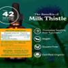 Herb Pharm Milk Thistle Seed Liquid Extract for Liver Function Support - 1 Ounce view 2