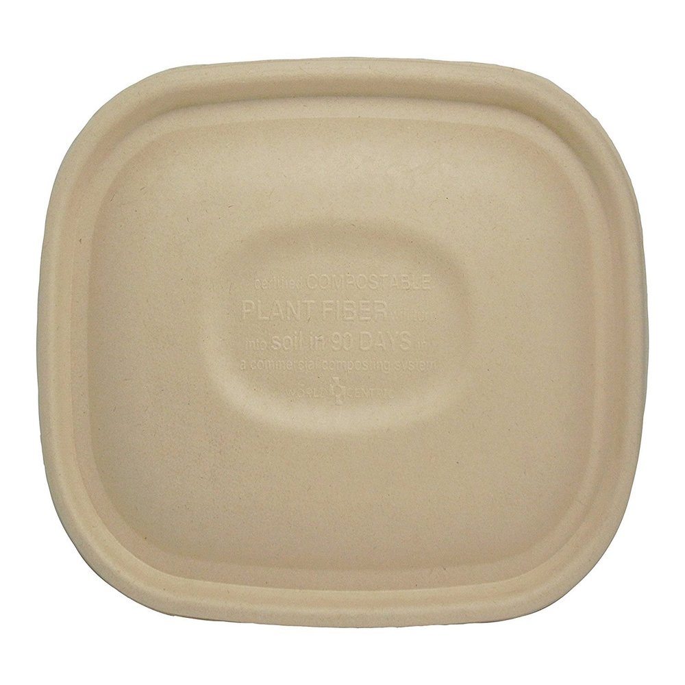 100% Compostable Unbleached Plant Fiber to Go Boxes, 32 oz, 8.8" x 6.8" x 2.25" (Pack of 400)