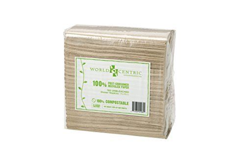 100% Compostable Napkins by World Centric, Unbleached 2-Ply Dinner Napkins, 15" x 16", 3,000 Napkins, (20 Packs of 150) (NP-SC-DN)