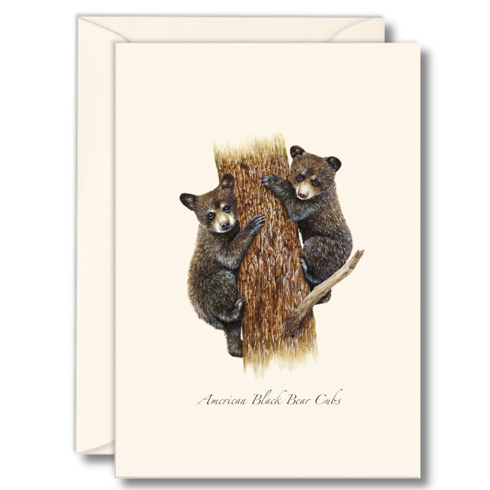 Earth Sky + Water - Bear Cubs Notecard Set - 8 Blank Cards with Envelopes