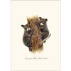 Earth Sky + Water - Bear Cubs Notecard Set - 8 Blank Cards with Envelopes view 2