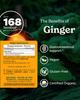 USDA Organic Ginger Root Extract*: Digestion & Circulatory Support | Ginger Tincture for Occasional Nausea | Non-Bitter Vegan Digestive Supplement | 4 Oz, Up to 3 Months Supply view 2