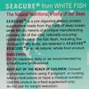 Seacure Hydrolyzed White Fish - Blister Packs - 180 Capsules by Proper Nutritio view 4