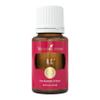 Young Living R.C. Essential Oil Blend | 15ml | A Powerful Combination of Cypress, Spruce, Myrtle, Pine, Eucalyptus Essential Oil, and More for a Refreshing and Uplifting Aroma view 1