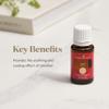 Young Living R.C. Essential Oil Blend | 15ml | A Powerful Combination of Cypress, Spruce, Myrtle, Pine, Eucalyptus Essential Oil, and More for a Refreshing and Uplifting Aroma view 4
