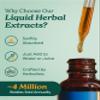 Herb Pharm Thyroid Calming Liquid Herbal Formula for Endocrine System Support - 1 Ounce view 3