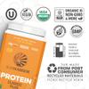 Clean Vegan Protein Powder Vanilla | Organic Protein Powder Plant Based Formula with 5 Superfood Blend Sprouted & Fermented | Non-GMO Low Carb Soy Dairy & Gluten Free (Vanilla, 30 Servings) view 2