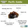 Emerald Cove Pacific Kombu Dried Seaweed, Silver Grade, 1.76 Ounce Bag view 2