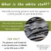 Emerald Cove Pacific Kombu Dried Seaweed, Silver Grade, 1.76 Ounce Bag view 3