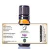 100% Pure Sage Essential Oil || Spain - 5 ml w/Euro Dropper view 1