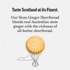Walker's Shortbread Stem Ginger Cookies, Pure Butter Shortbread Cookies, 6.2 Oz Box (Pack of 4) view 2