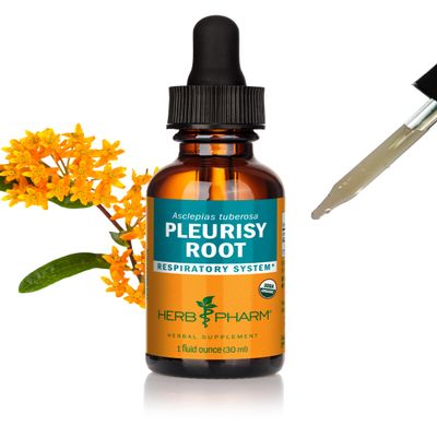 Herb Pharm Certified Organic Pleurisy Root Liquid Extract for Respiratory System Support 1 Fl Oz