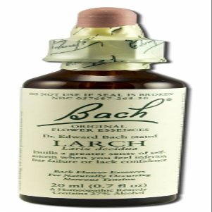 Bach Flower Larch