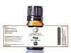 100% Pure Pine Essential Oil || Austria - 5 ml w/Euro Dropper view 1