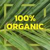 Native Forest Organic Unsweetened Coconut Milk - Canned Coconut Milk, No Guar Gum, Non-GMO Project Verified, USDA Organic - Simple, 13.5 Fl Oz (Pack of 12) view 3