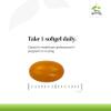 Terry Naturally CuraMed 375mg - Antioxidant Supplement for Brain & Immune Health Support - Dietary Supplement with Curcumin & Turmeric Essential Oil - Herbal Liver Support - 60 Softgels (Pack of 3) view 4