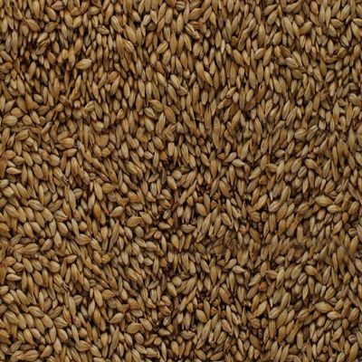 Briess GS520 Malt Caramel 20L (50 lb Sack)
