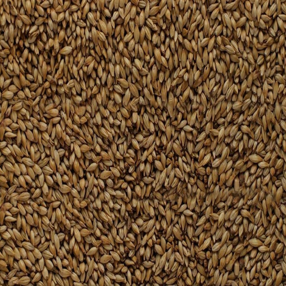 Briess GS520 Malt Caramel 20L (50 lb Sack)