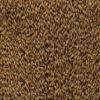Briess GS520 Malt Caramel 20L (50 lb Sack) view 1