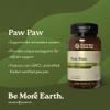 Nature's Sunshine Paw Paw Cell-Reg, 180 Capsules | Contains over 50 Acetogenins to Modulate ATP Production and Blood Supply view 2
