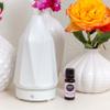 Edens Garden Magnolia Essential Oil- 100% Pure Premium Grade, Undiluted, Natural, Therapeutic, Aromatherapy, The Best for Diffuser, Skin, Candle, Kid Safe 10 ml (.33 fl oz) view 2