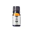100% Pure Black Pepper Essential Oil || India - 5 ml w/Euro Dropper view 1