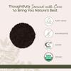 Starwest Botanicals Organic Black Walnut Hull Powder - Finely Ground, Use for Tea, Baking, & Capsules, Natural Digestion Support, Certified Kosher, Non-GMO - Bulk 1 lb Bag view 4