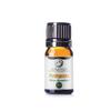 100% Pure Petitgrain Essential Oil || Paraguay - 5 ml w/Euro Dropper view 1