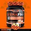 ALR Industries Humapro | Amino Acids Protein Matrix for Humans | 99% Utilization for Lean Muscle | Vegan, Gluten Free | 667g / 90 Servings (Southern Sweet Tea) view 3