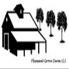 Pleasant Grove Farm 7 Mil Mylar Bags in Multiple Sizes (100, 2 QUART (8 x 12 inch)) view 4