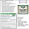 AlchePharma Lion's Mane Mushroom (Organic) 55% Polysaccharides Vegan 60 Vcaps 500 mg. per Capsule view 2