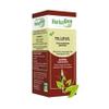 Linden Tree - Herbal Gem view 1
