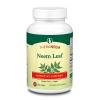 THERANEEM Neem Leaf Capsules - Powerful Nutritive Support with Antioxidants and More - Vegan, Gluten Free, 60 Day Guarantee - 120 Servings, 120 VegCaps view 1