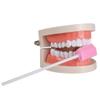 (50 Pack) Disposable Oral Swabs, Sterile Dental Sponge Swabsticks Unflavored for Mouth or Gum Cleaning view 4
