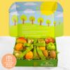 A Gift Inside Golden State Fruit Organic Deluxe Fruit Collection Gift Box view 4