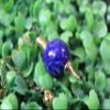 Crystal Pendulum - Jet Lapis Lazuli Ball Shaped Pendulum Reiki Dowsing Balancing Cleansing Dowser Divine Energy Healing Approx 1 inch Long view 4
