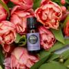 Edens Garden Lavender- Bulgarian Essential Oil- 100% Pure Premium Grade, Undiluted, Natural, Therapeutic, Aromatherapy, The Best for Diffuser, Skin, Humidifiers, Kid Safe 10 ml (.33 fl oz) view 2