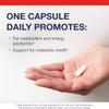 Metagenics L-Carnitine - Amino Acid Supplement for Fat Metabolism & Energy Support* - 500 mg L-Carnitine L-Tartrate - Non-GMO, Gluten-Free, Vegetarian - 30 Capsules view 2