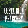 Coffee Connoisseur Gift Box, Whole Bean Peaberry, Jamaica Blue Mountain, Costa Rica, Brazil, Bolivia, Fresh Roasted, 4 x 16-ounce Bags view 2