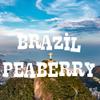 Coffee Connoisseur Gift Box, Whole Bean Peaberry, Jamaica Blue Mountain, Costa Rica, Brazil, Bolivia, Fresh Roasted, 4 x 16-ounce Bags view 3
