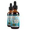 Rejuvica Health IntestiClear - Advanced Intestinal Cleanse Support for Humans - All-Herbal Liquid Formula for Fast Absorption - Bonus Liver Support - Wormwood, Black Walnut, Ginger and More view 1