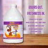 Mister Max Anti Icky Poo Unscented Enzyme Cleaner - Pet Urine, Dog & Cat Urine Odor Remover, 4-Gallons view 2