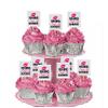 12 Bachelorette Bridal Wedding Shower Party Kissing Single Life GoodBye Cupcake Fruit Appetizer Decoration Topper Picks (Pink) view 1