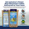 Island Blue 100% Jamaica Blue Mountain Whole Beans Coffee (16oz) view 3
