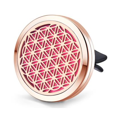 Mesinya Assorted(38mm) Car Air Freshener Vent Clip Diffuser Stainless Steel Aromatherapy Essential Oils Diffuser Lockets (Style 3)