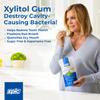 Epic 100% Xylitol Spearmint Chewing Gum - Sugar Free, Aspartame Free Dental Gum - Supports Oral Health & Fresh Breath - 1000 Pieces view 2