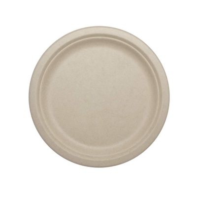 100% Compostable Plates by World Centric, Made from Ubleached Plant Fiber, 9" Plates (Pack of 1000)