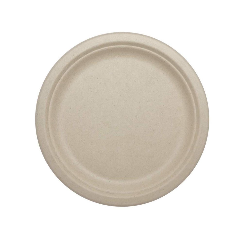 100% Compostable Plates by World Centric, Made from Ubleached Plant Fiber, 9" Plates (Pack of 1000)